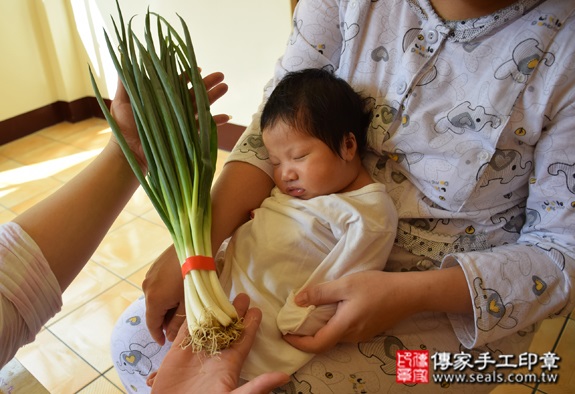 徐寶寶(桃園龍潭區到府嬰兒寶寶滿月剃頭理髮、免費到府嬰兒剃胎毛儀式吉祥話)。到府剃頭剃胎毛主持、專業拍照、DVD光碟、證書。★購買「臍帶章、肚臍章、胎毛筆刷印章」贈送：剃頭、收涎、抓周，三選一。2015.10.24 照片12